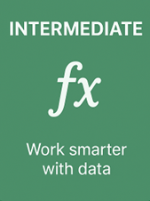 Excel Intermediate Logo